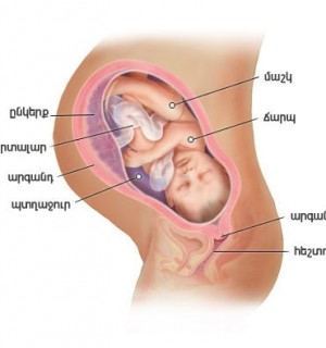 Հղիության 39-րդ շաբաթ