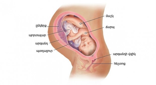 Հղիության 39-րդ շաբաթ