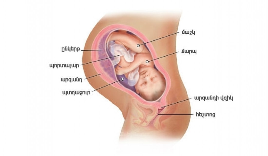 Հղիության 39-րդ շաբաթ