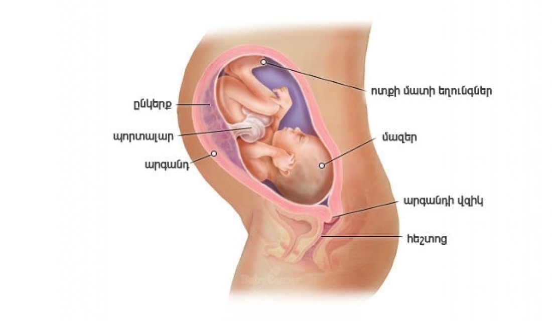 Հղիության 32-րդ շաբաթ