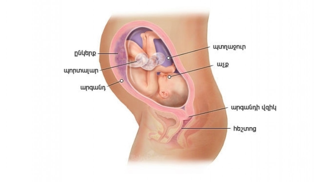 Հղիության 30-րդ շաբաթ