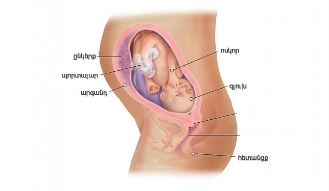 Հղիության 29-րդ շաբաթ