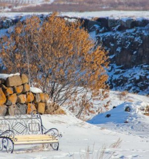 Փոքրիկ դրվագ բժշկի ճանապարհից