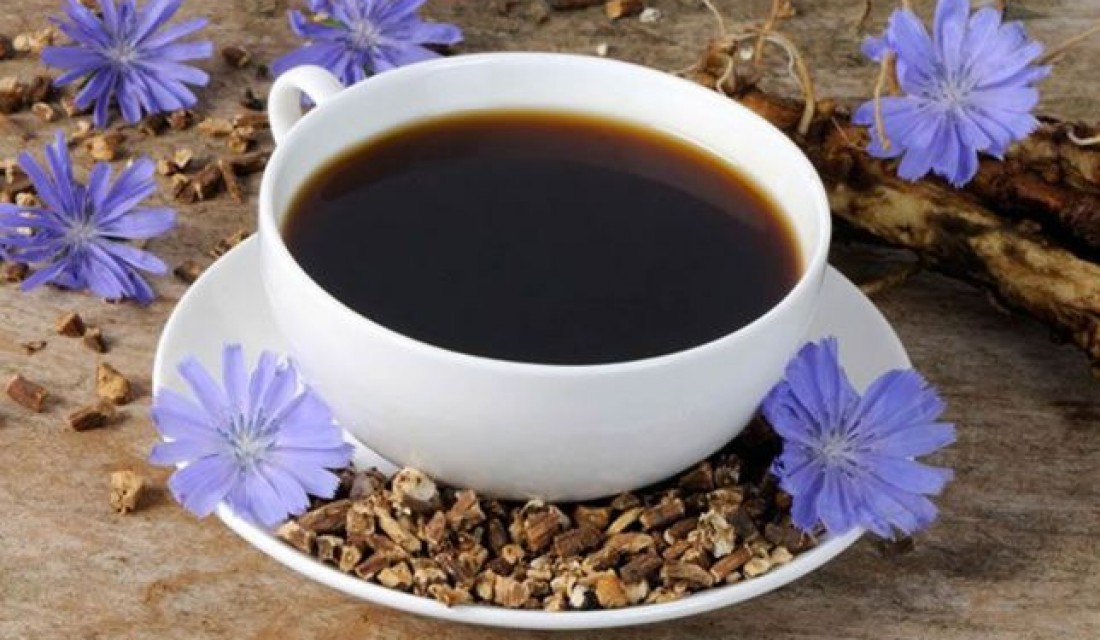 Եղերդակ (ցիկորիա)․ օգտակար հատկություններն ու հակացուցումները