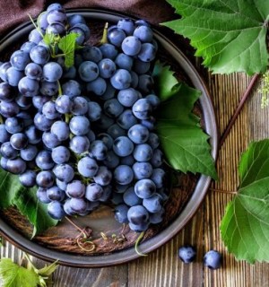 ԽԱՂՈՂ․ օգտակար հատկություններն ու հակացուցումները