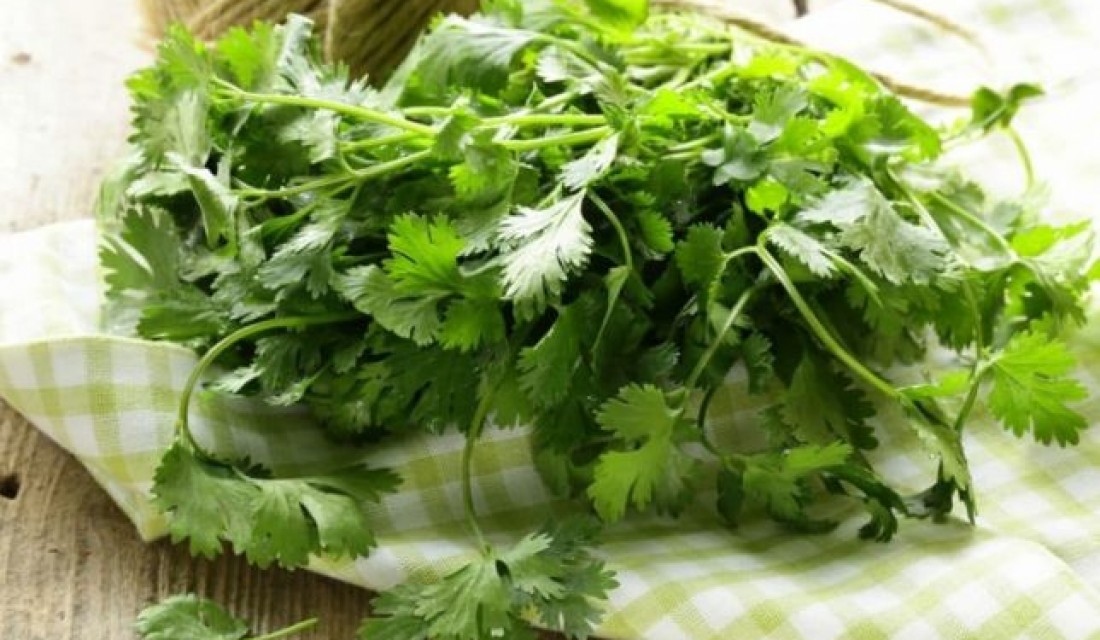 Համեմ․ օգտակար հատկություններն ու հակացուցումները
