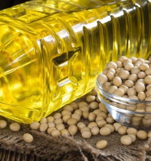 Սոյայի ձեթ. օգտակարությունը