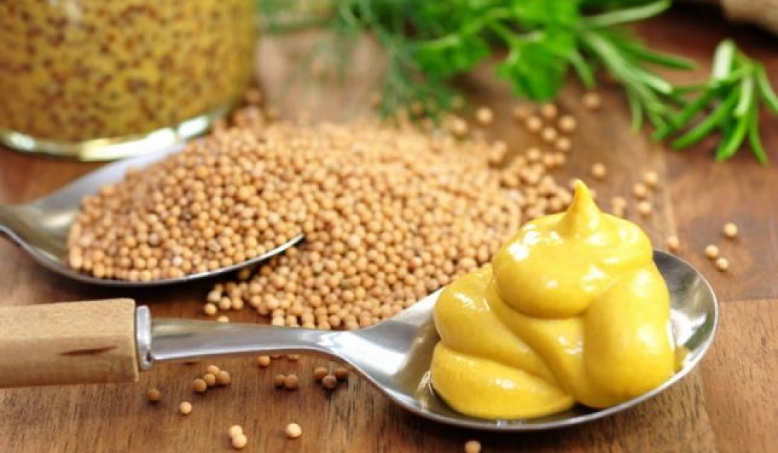Մանանեխ (գորչիցա)․օգտակար հատկություններն ու հակացուցումները