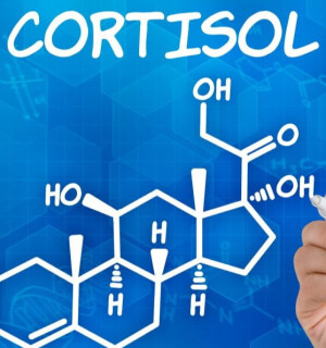 Ինչպես իջեցնել կորտիզոլի մակարդակը՝ ավելի երկար և լավ ապրելու համար