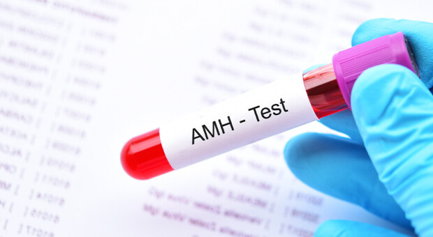 AMH հորմոն:Ի՞նչ է դա և ի՞նչ նշանակություն ունի գինեկոլոգիայում